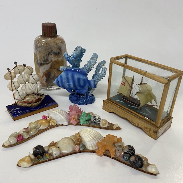 ORNAMENT, Nautical Sea Shell Miscellaneous